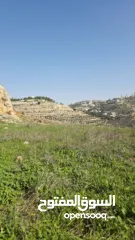  3 قطعة نص دونم دورا