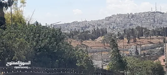  3 بيت للبيع المستعجل بسعر مغري 25000 قابل للتفاوض