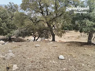 7 ارض للبيع أجمل مناطق وادي السير موقع هادئ ومطل  ممتاز للبناء أو الاستثمار من المالك مباشرة