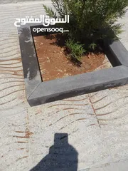 29 احواض بازلت نخب اول
