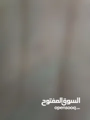  1 اوبل كورسا 2013