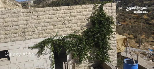  2 منزل للبيع