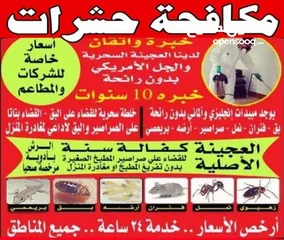  7 الشركة الدولية لمكافحة الحشرات بجميع مناطق الكويت