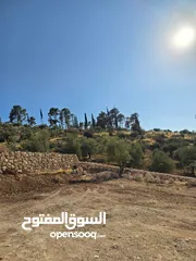  8 قطعة ارض للبيع قرب جامعة فيلادلفيا