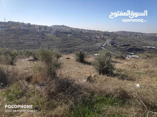  1 قطه ارض للبيع في تل مقابل عين المزاب قريبه من دوار نابلس الجديده
