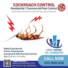  2 Best Offer - Pest Control Service - i Pest Control Bahrain