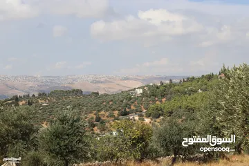  12 (1)ارض للبيع بدر الجديدة مساحة 1070 متر ذات اطلاله عاليه لا يمكن حجبها