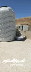  5 متاح 3جواز جوز لهوارت قراقطه وجوز يهوديات تركيب جديد وفي جواز بلجيكي زرزور عل بلجيكي