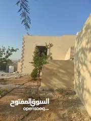  12 بيت مسطح 120 متر نطام امريكي تأسيس شاليه مع ترس جانبي مطل مساحه 40 متر مع حديقه وبئر ماء 12 وغيرها
