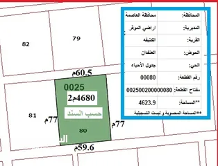  2 قطعة زراعية عمان الكتيفة تبعد عن حدود  المطار 1300م تفع على شارعين مساحة  4680م2  سعر  كامل 28 الفا