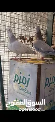  9 جواز وفردات كل اشي الو سعرو الاسعار بالوصف