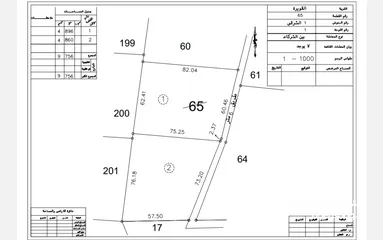  2 للبيع قطعة أرض 4.9 دونم في القويره بجانب المطار ملكه عاليه الدولي