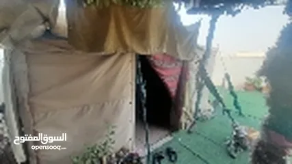  1 خيمة مستعمل