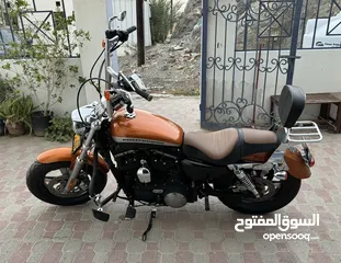  2 Harley Davidson Sportster Custom 1200