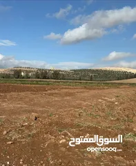  3 للبيع قطعة ارض بلعما - الزيتونة