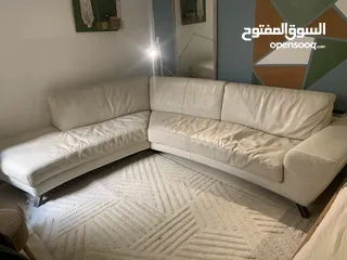  1 كنبات جلد معا وحده صغيرة