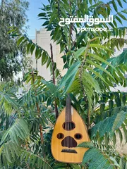  1 عود عراقي للبيع