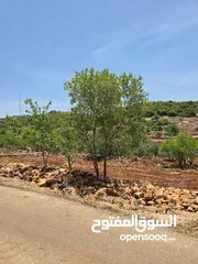  16 راس منيف 2 دونم راس منيف قوشان مستقل  عاليه و كاشفه  من مالك مباشره قريبه من جميع الخدمات راقيه