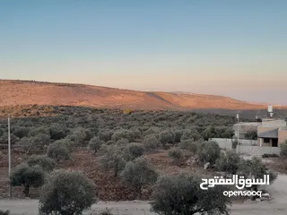  1 احمد الحج محمد