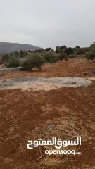  2 أرض زراعية مجهزة بالكامل عالية و مشرفة مزروعة زيتون مثمر و أشجار واصل جميع الخدمات