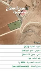  7 قطعة أرض للبيع في محافظة الطفيله منطقة العيص