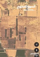  1 أرض 2هكتار للبيع في منطقة بئر عز الدين (الزاوية)