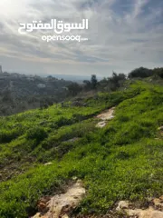  17 أرض للبيع بإطلالة غربية واصل جميع الخدمات