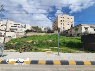  2 قطعة أرض مميزة للبيع مدخل مرج الحمام طريق البحر الميت الرئيسي