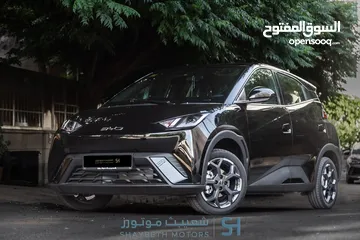  4 Byd Seagull 2024