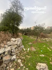 5 ارض للبيع نابلس_طلوزه