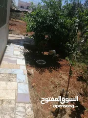  9 منزل للبيع مكون من اربع غرف وصالة وثلاث حمامات وبيرين ماء وجورة امتصصيه