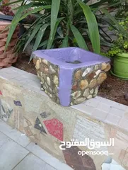  13 احواض زريعه اسمنتيه قابله للبدل على طيور