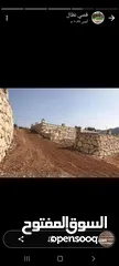  18 موسسة جينار لتشيك المزارع وبناء السناسل والاسوار واستصلاح الاراضي أدارة المزارع