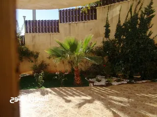  2 شقة مميزة للبيع في تلاع العلي 240 متر داخلي 160 متر خارجي