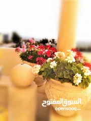  12 قوار حجر صناعي