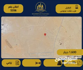  1 رقم الإعلان: (5356 ) قطعة أرض زراعية للبيع في الظليل – قرب مثلث عرنوس