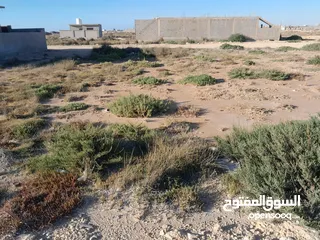  7 قطعة أرض فاضيه في الترية قبل شيل بنزينة  موقعها ثاني قطعة قبل شط البحر