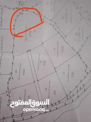  4 القبة الذهبية ارضي بلعا دير الغصون قرب بجورا