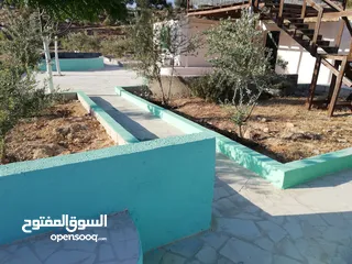  12 مزرعه للبيع