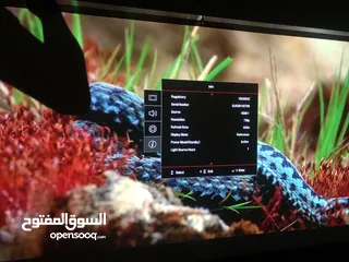  15 داتا شو 4K ماركة Optoma