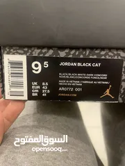  5 Jordan black cat