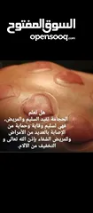  6 الحجامة للنساء..شفاء الحجامة ليس بكثرة الدم و إنما بالتشريط السليم والطريقة المثلى.. الحجامة وصية ..
