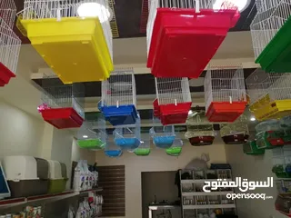  1 بظاعة محل طيور وحيوازات اليفه للبيع