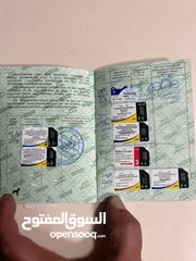  5 للبيع كلب جيرمن شيبرد مستورد من أوكرانيا