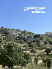  1 ارض للبيع في الأردن - عجلون