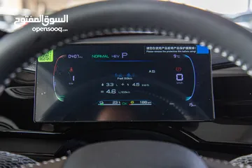  17 Qin PLUS DM-i  55KM