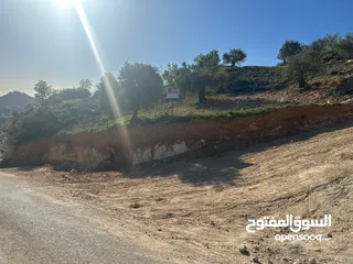  2 قطع سكنيه (سكن ج ) منطقه(عين جنا/ عجلون) وسط البلد،مرتفعه واطلاله جميلة على القلعة واصل جميع الخدمات