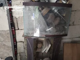  7 حوضين سمك مع قواعدهم