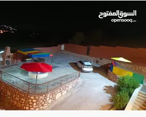 6 مزرعة الأمير سبأ