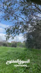 1 ارض للبيع بالجابريات